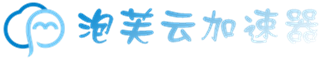 魔法网络（萌新指导）